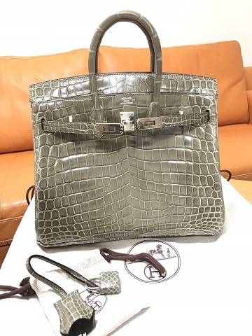 Hermes birkin 25 crocodile niloticus lisse 兩點鱷魚 81色